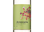 Marks and Spencer Aracauria Riesling Pinot Grigio ,2013