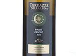 Terrazze Della Luna Pinot Grigio Trentino DOC,2013
