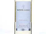 Monte Giove Pinot Grigio Chardonnay,2013