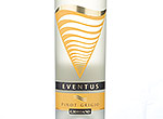 Pinot Grigio IGT Terre Siciliane Eventus,2013