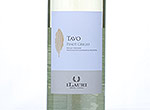TAVO, Pinot Grigio IGP Delle Venezie,2013