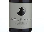 Willing Participant Pinot Noir,2013
