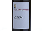 Almeida Garrett Selecta,2011