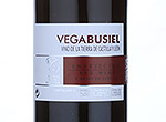Vega Busiel,2010