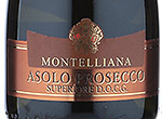 Prosecco Superiore DOCG Asolo Millesimato,2013