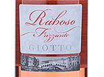 Giotto Raboso Frizzante Rosé,NV