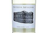 Faldeos Nevados Torrontes,2013