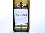 Pinot Gris  Collection,2013