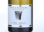 Villa Blanche Picpoul De Pinet,2013