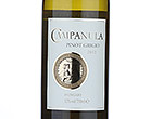 Campanula Pinot Grigio,2013