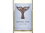Divine Fish White,NV
