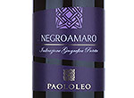 Paolo Leo Varietali Negroamaro IGT Salento,2013