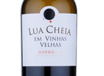 Lua Cheia em Vinhas Velhas,2014