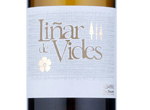 Liñar de Vides,2013