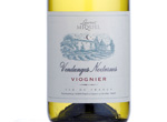Vendanges Nocturnes,2014