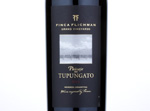 Paisaje de Tupungato,2013