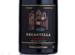 Secastilla,2010