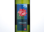 The Society’s Chilean Sauvignon Blanc,2013