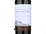 Castillo de Molina Cabernet Sauvignon,2012