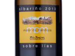 Maior de Mendoza,2013