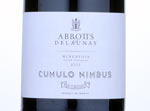 Cumulo Nimbus,2011