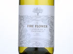 Fireflower Chenin/PG South Africa,2014