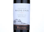 Castillo de Molina Reserva Carmenere,2012