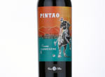 Pintao Reserva Carmenere,2013
