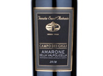 Amarone Della Valpolicella Campo Dei Gigli,2010