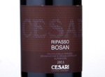 Ripasso Bosan Valpolicella Superiore,2011