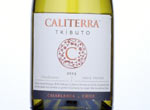 Tributo 'Single Vineyard' Chardonnay,2013