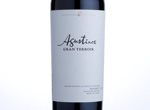 Agustinos Gran Terroir Malbec,2013