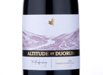 Altitude by Duorum,2013