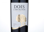 Dois carvalhos,2010