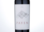Tabalí Payen,2011
