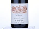 Morgon Château de Bellevue Les Charmes,2013