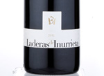 Laderas de Inurrieta,2012