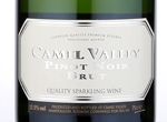 Camel Valley  Pinot Noir Brut,2011
