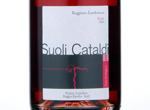 Reggiano Lambrusco Suoli Cataldi Rosè Frizzante,2013