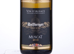 Muscat Signature,2015