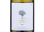 Kalogeri Malagouzia,2015