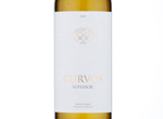 Curvos Superior,2015