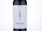 Terranoble Lahuen Limited Release,2013