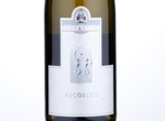 Abruzzo Pecorino Costantini,2015