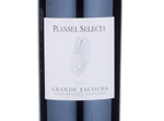 Plansel Selecta Grande Escolha,2013