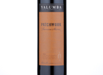 Patchwork Shiraz,2013