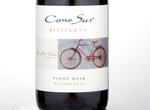 Bicicleta Pinot Noir,2015