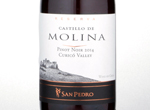 Castillo de Molina Pinot Noir Reserva,2014