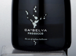 Prosecco Brut Millesimato Biologico Ca'Selva,2014