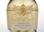 Blanc de Blancs Millesimato Brut Lessini Durello,2013